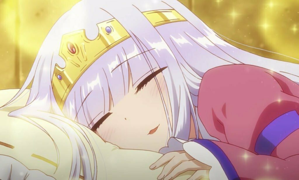 sleepy princess in the demon castle anime